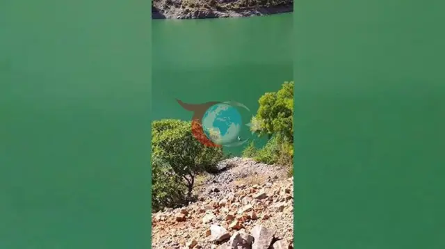 Tunceli'de Belgesellik Görüntüler: Dev Ayının Keban Baraj Gölü'ndeki Yüzme Keyfi Kamerada