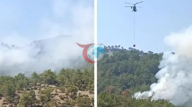 Adana Kozan'da Korkutan Orman Yangını: Ekipler Havadan ve Karadan Teyakkuzda