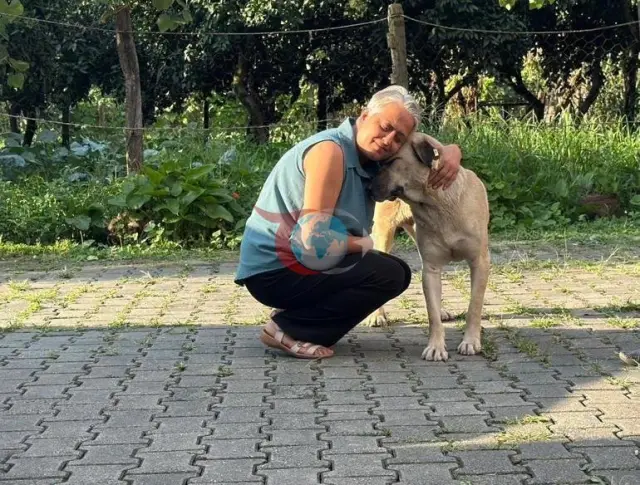 Artvin'de Kamyonet Kasasında Başlayan Sıra Dışı Dostluk: Sadık Köpek "Fedai"