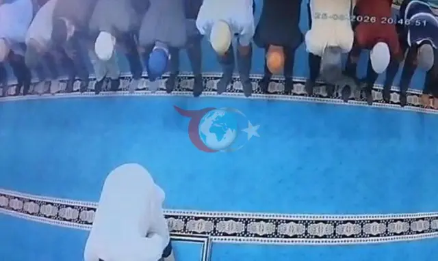 Erzurum'da Camide Kediye Tekme Atan Şahsa Gözaltı: Sosyal Medyayı Ayağa Kaldıran Görüntüler Sonrası Adli Süreç Başladı