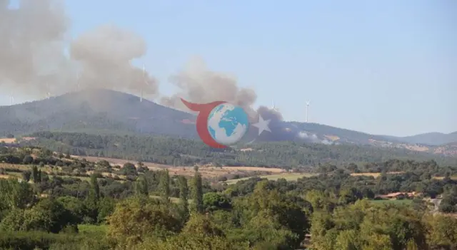 Çanakkale Bayramiç'te Orman Yangını: Havadan ve Karadan Dev Müdahale