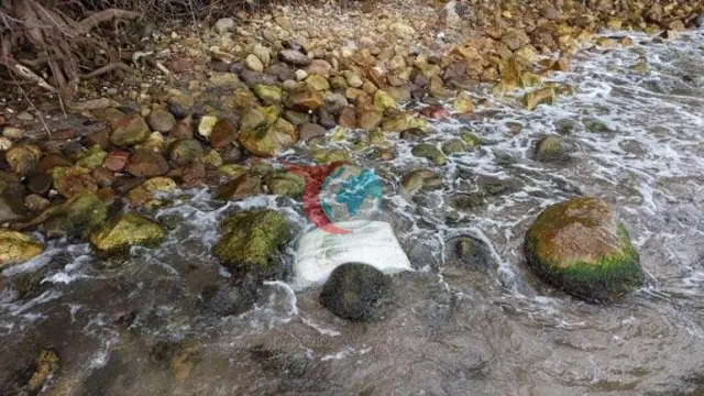 Ordu Sahilinde Gizemli Konteyner Alarmı: Ekipler İnceleme Başlattı