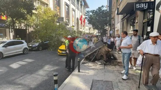 Nişantaşı'nda Korku Dolu Anlar: Dev Çınar Ağacı Seyir Halindeki Taksinin Üzerine Devrildi
