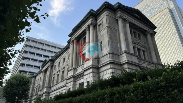 Japonya Merkez Bankası'ndan Tarihi Karar: Politika Faizi 31 Yılın Zirvesinde