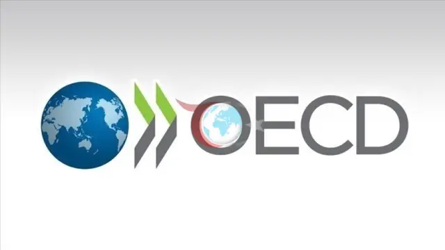 OECD'den Türkiye'nin "Yüzyıllık" Eğitim Reformuna Büyük Destek: PISA 2025 Detayları Açıklandı