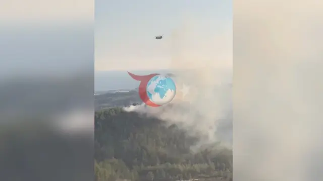 Aydın'da Korkutan Orman Yangını: Havadan ve Karadan Dev Müdahale Başladı