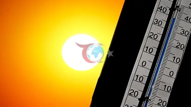 Tunus'ta Aşırı Sıcaklar Sağlık Sistemini Çökme Noktasına Getirdi: Can Kayıplarında Görülmemiş Artış