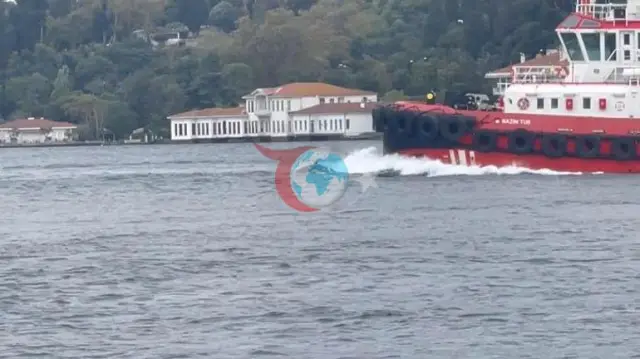 İstanbul Boğazı'nda Yunus Sürüsü Kıyı Emniyeti Gemisiyle Birlikte İlerledi