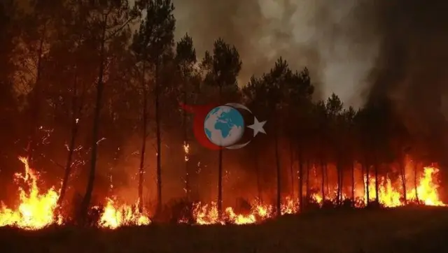 Sırbistan'da 52 Gün Süren Deliblato Kumları Orman Yangını Söndürüldü