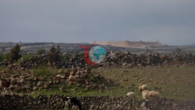 İsrail Askerleri Suriye'de Çobanlık Yapan Çocuğu Darbetti ve Koyunlarını Telef Etti