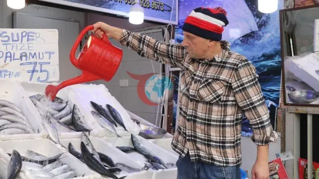 Rize'de Palamut Bolluğu Tezgahlara Yansıdı: Adet Fiyatı 50 Liradan Başlıyor