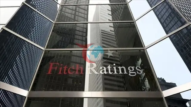 Fitch Ratings Türkiye Sorumlusu Douglas Winslow Ekonomi ve Fon Soruşturmalarını Değerlendirdi