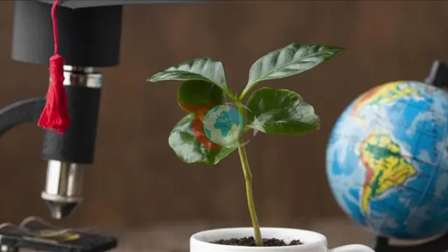 Erik Guilyardi: COP31 klimat bilimini global gün tertibine getirmegiň möhüm pursatydyr