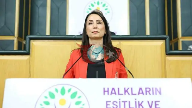 DEM partiyasi hamraisi Hatimoğullaridan Turkiya Oliy Millat Majlisida Komissiya tuzish chaqirigʻi