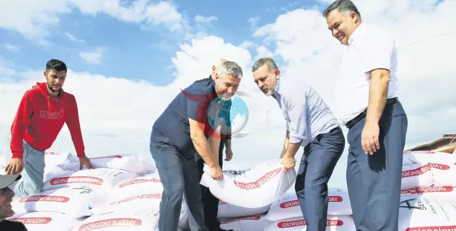 Sincan Bələdiyyəsindən fermerlərə yüzdə 75 qrant ilə buğda toxumu dəstəyi