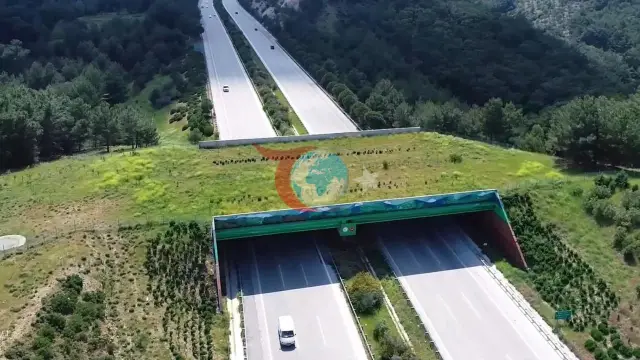 Ulag we infrastruktura ministrligi awtoulag ýollarynda we demir ýollarda 21 sany ekologik köprini tamamlady