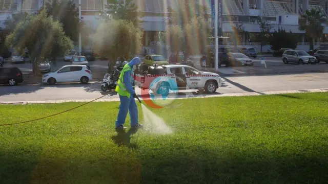 Avrupa Birliği genelinde Batı Nil virüsü vakaları rekor seviyeye ulaştı