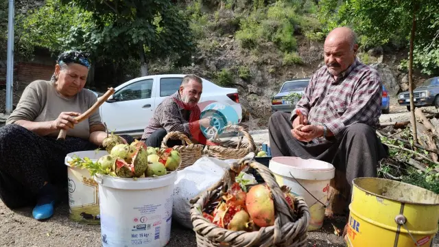 Adana Kozan’da Geleneksel Nar Ekşisi Üretimi: 1,5 Ton Nardan 60 Kilo Ürün Elde Ediliyor