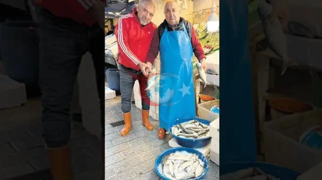 İstanbul Boğazı’nda lüfer akını başladı: Tezgahlarda fiyatlar 1700 TL’ye kadar ulaşıyor