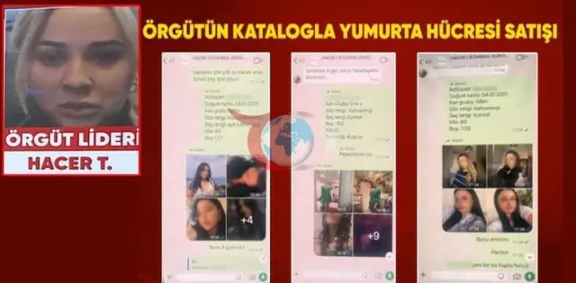 Stambulda ýerleşýän 14 welaýatda bikanun ýumurtga söwdasy bilen jenaýat guramasyna garşy operasiýa