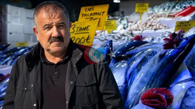 Karadeniz’de Palamut Bolluğu: Balıkçılardan Ekosistemi Korumak İçin Avlanma Çağrısı