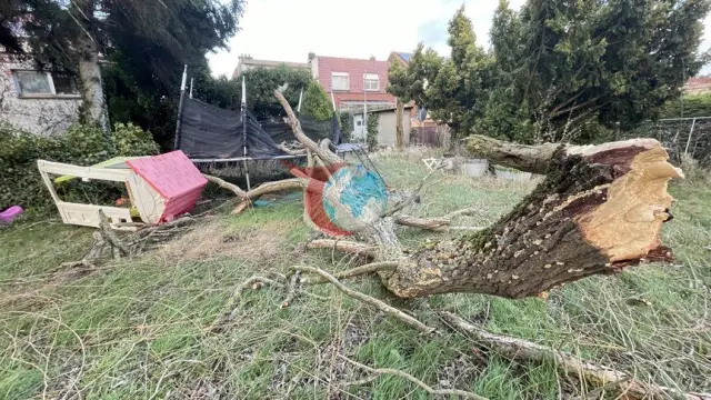 Belçika'da Boelo Fırtınası alarmı: Yoğun yağış ve şiddetli rüzgar bekleniyor