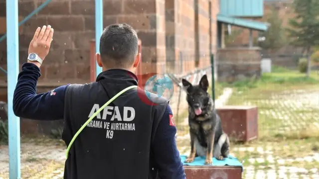 Van AFAD bünyesindeki arama kurtarma köpekleri afetlere karşı özel eğitimden geçiriliyor