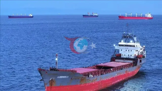 İran Genelkurmay Başkanı Ali Abdullahi Hürmüz Boğazı'ndaki Askeri Birlikleri Denetledi