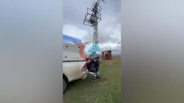 Erzurum Palandöken'de yüksek gerilim hattına tırmanan yavru bozayı akıma kapılarak telef oldu