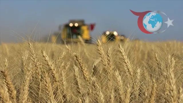Tarım ÜFE Ekim Ayında Artış Gösterdi: Sektörel Değişimler ve Detaylar
