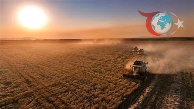 Ankara'dan Çiftçilere Büyük Destek: 711 Milyon Liralık Ödeme Yolda!