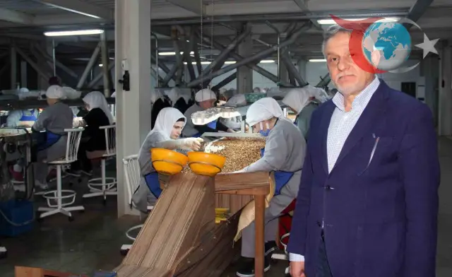 Fındık Fiyatlarında Yıl Sonuna Kadar Durgunluk Bekleniyor