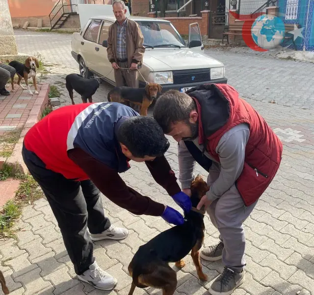 Emet İlçesinde Evcil Hayvanlar Mikroçiple Kimlikleniyor ve Koruyucu Aşılanıyor