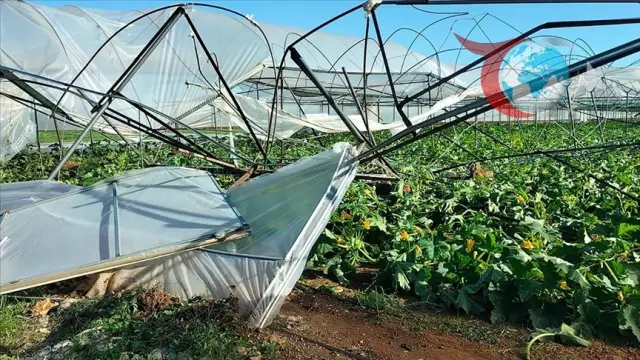 Antalya'da Hortum Felaketi: Seralar Büyük Zarar Gördü