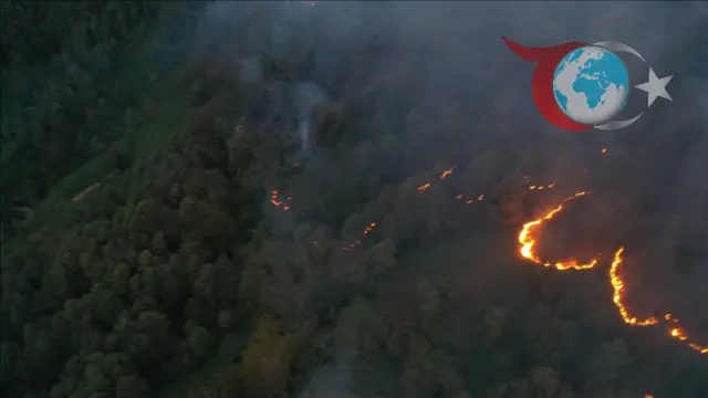 Artvin'de Çıkan Örtü Yangını Başarıyla Kontrol Altında
