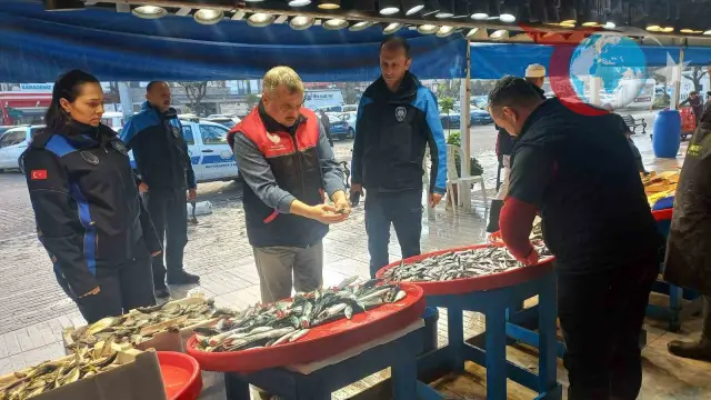 Bandırma Balık Halinde Yanlış Etiketleme Sorunu Çözüldü