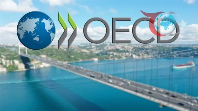 OECD'den Türkiye Ekonomisi İçin Yeni Tahminler: Büyüme ve Enflasyon Öngörüleri