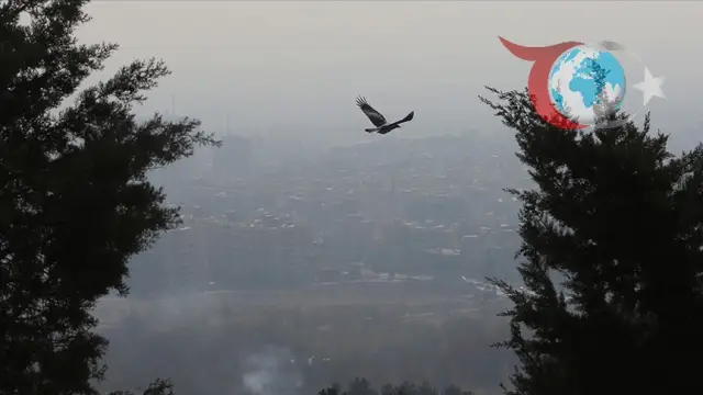 Tahran Hava Kirliliği ile Mücadelede Kararlı Adımlar Atıyor