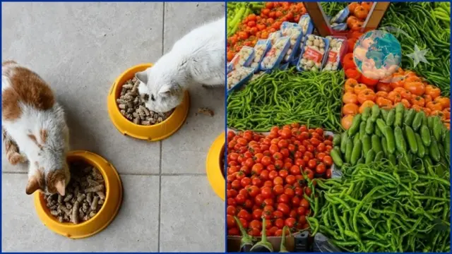 Kasım Ayında Fiyatı En Çok Artan ve Azalan Ürünler Açıklandı