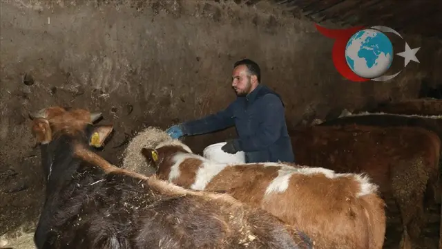 Genç Girişimci Umut Dursun'dan Hayvancılıkta Başarı Hikayesi
