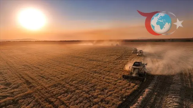 Ankara'da Girişimcilere Destek Yağmuru: IPARD-III Programı Kasım Ödemeleri