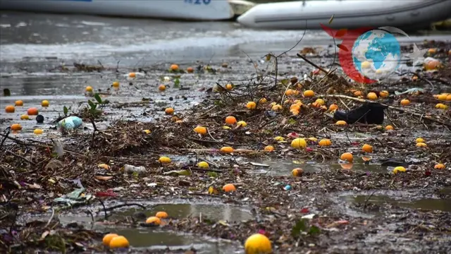 Muğla'da Yağmur ve Dalgalı Deniz, Mandalina ve Atıkları Sahile Taşıdı