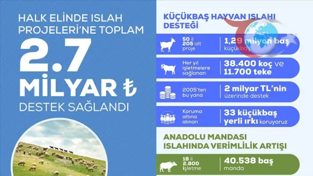 Anadolu'nun Yerli Irklarına 2,7 Milyar Liralık Destek