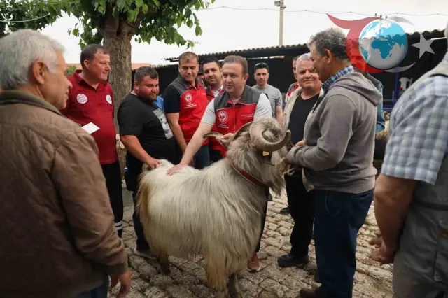 Bayram Öncesi Hayvan Pazarlarında Hareketlilik Artıyor