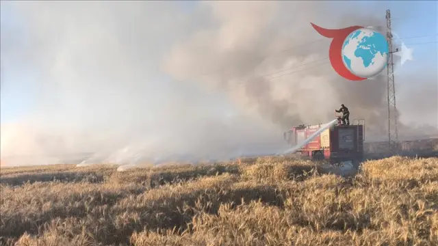 Çitlibağ ve Yazyurt Köylerinde Buğday Tarlasında Çıkan Yangınlar Söndürüldü