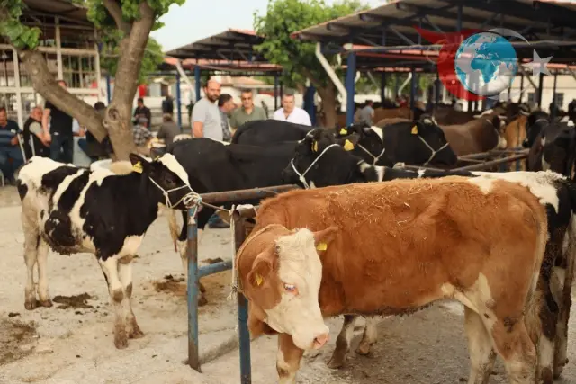 Muğla Valiliği Kurban Hizmetleri Komisyonu'ndan Yeni Kararlar