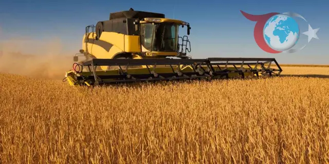 2025 Yılı Buğday Biçim Ücretleri Belirlendi
