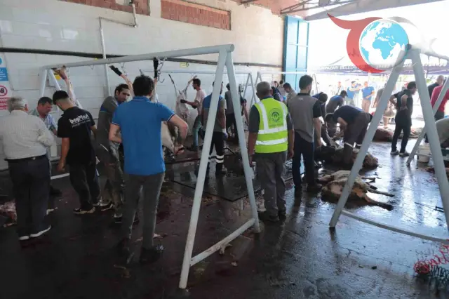 Odunpazarı Belediyesi'nden Ücretsiz Kurban Kesim Hizmeti