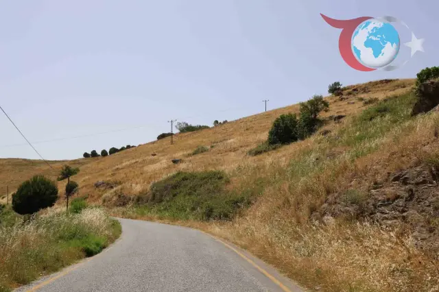 Aydın Meralarında Yangın Tehlikesi: Hayvancılık Bırakıldı, Otlar Kuru Kaldı