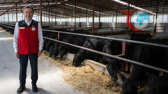 Kırsalda Bereket Hayvancılık Projesi: Türkiye'nin Hayvancılıkta Yeni Dönemi